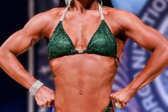 Emerald Figure Competition Suit (FS482)