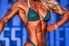 Emerald Figure Competition Suit (FS746)