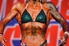 Emerald Figure Competition Suit (FS746)
