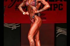 Scarlet Figure Competition Suit (FS934)